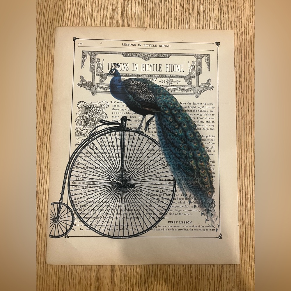 Vintage Bicycle and Peacock Dictionary Art Print